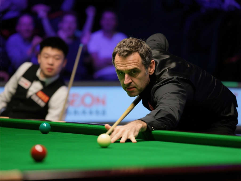 到其他项目 到其他项目